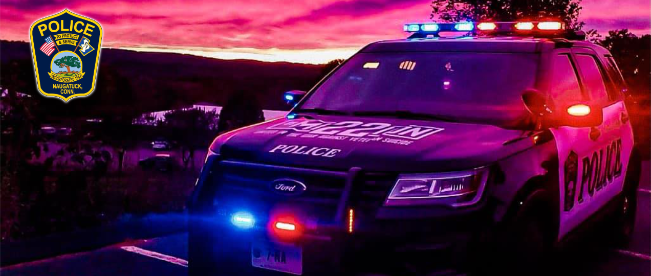 Sheriff Entry Page Header Image